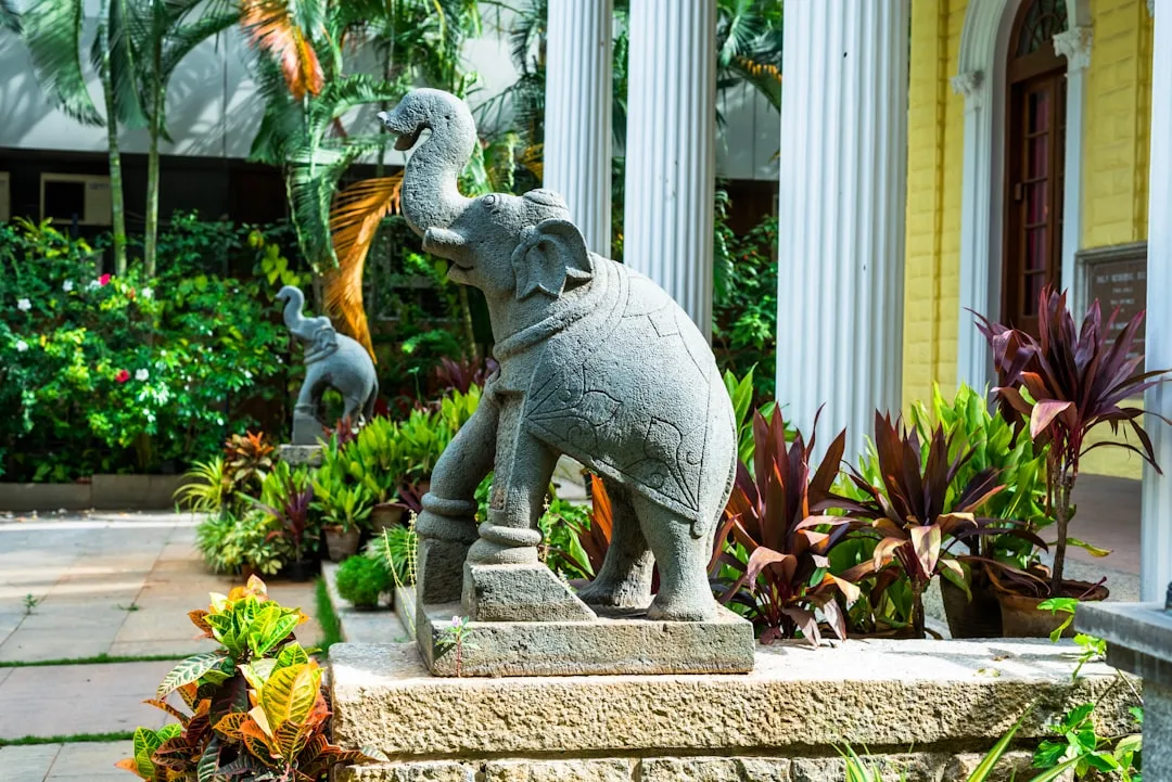 Elephant Baraat Decor