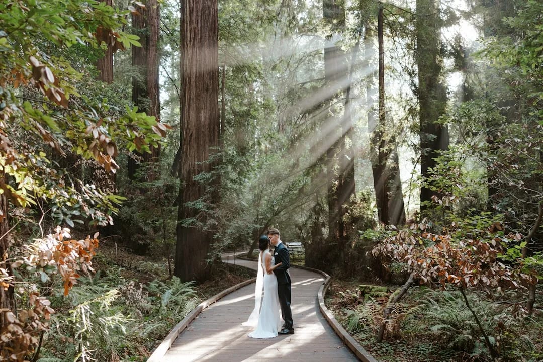 Best Months for a California Indian Wedding