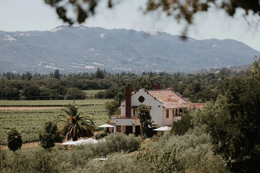 Indian Wedding Planners in Napa Valley